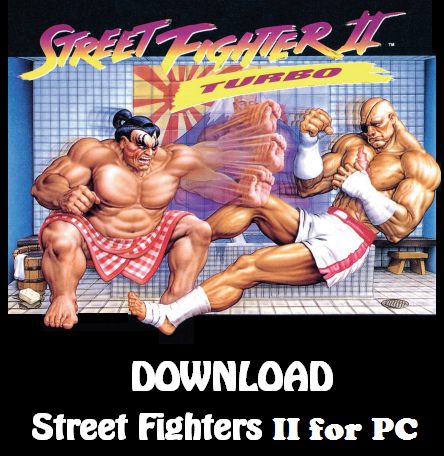 Street fighter pc game download